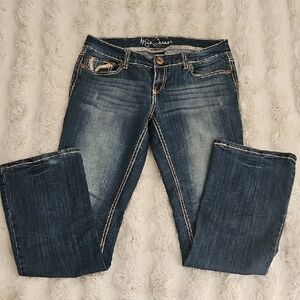 Ariya Stylish Blue Women Jeans